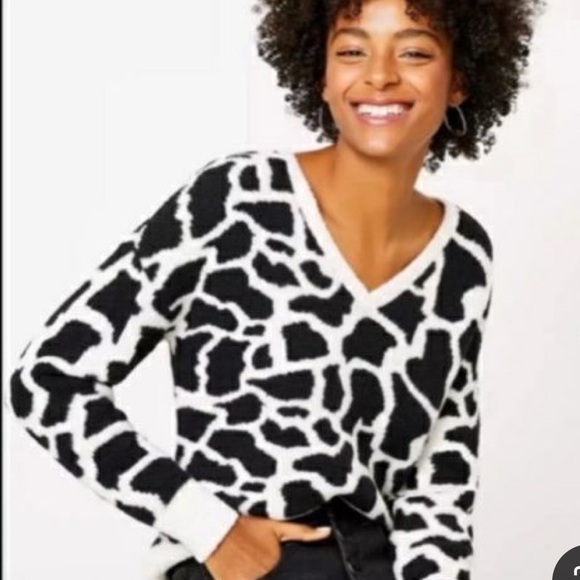 Ann Taylor LOFT Animal Print Cow Black Cream Pullover Sweater V Neck Size XS - Picture 1 of 8